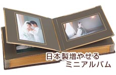 日本製増やせるミニアルバム